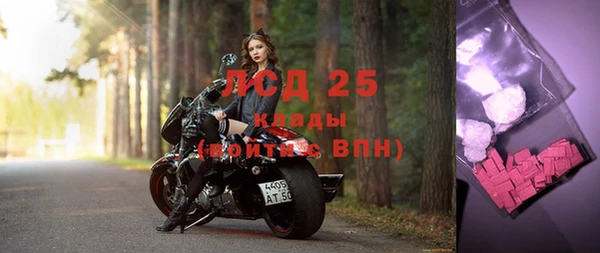 индика Абаза