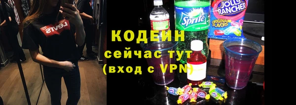 индика Абаза