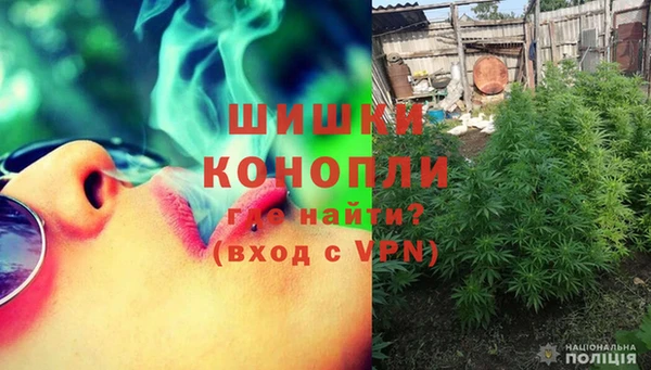 ГАЛЛЮЦИНОГЕННЫЕ ГРИБЫ Сосновоборск