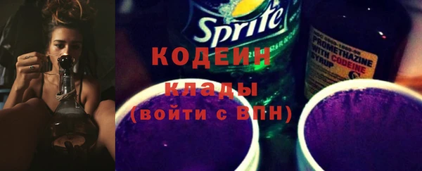 индика Абаза