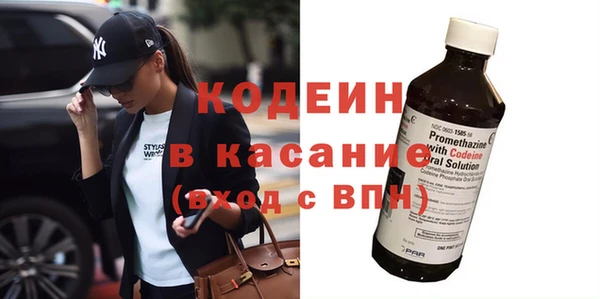 индика Абаза