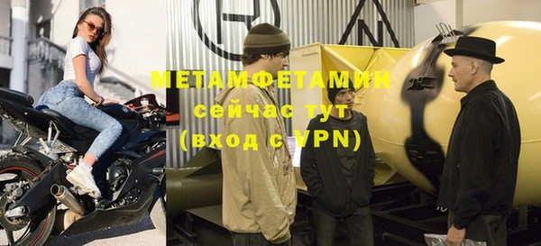 индика Абаза