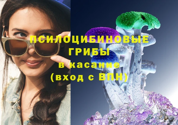ГАЛЛЮЦИНОГЕННЫЕ ГРИБЫ Сосновоборск