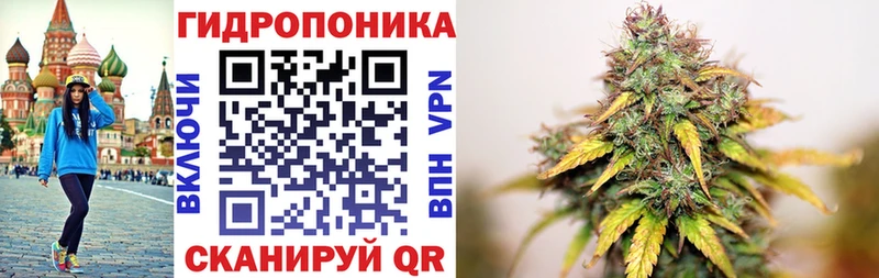 Каннабис Amnesia  магазин продажи наркотиков  Монино 